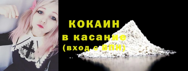 соль ск Алзамай