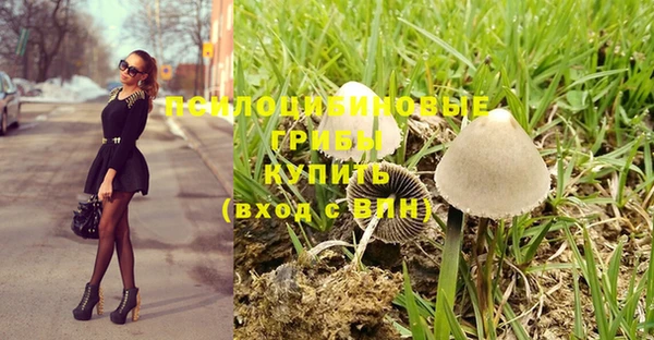 соль ск Алексеевка